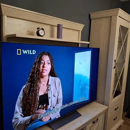 Διαμέρισμα Mira *